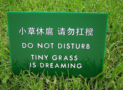tiny grass